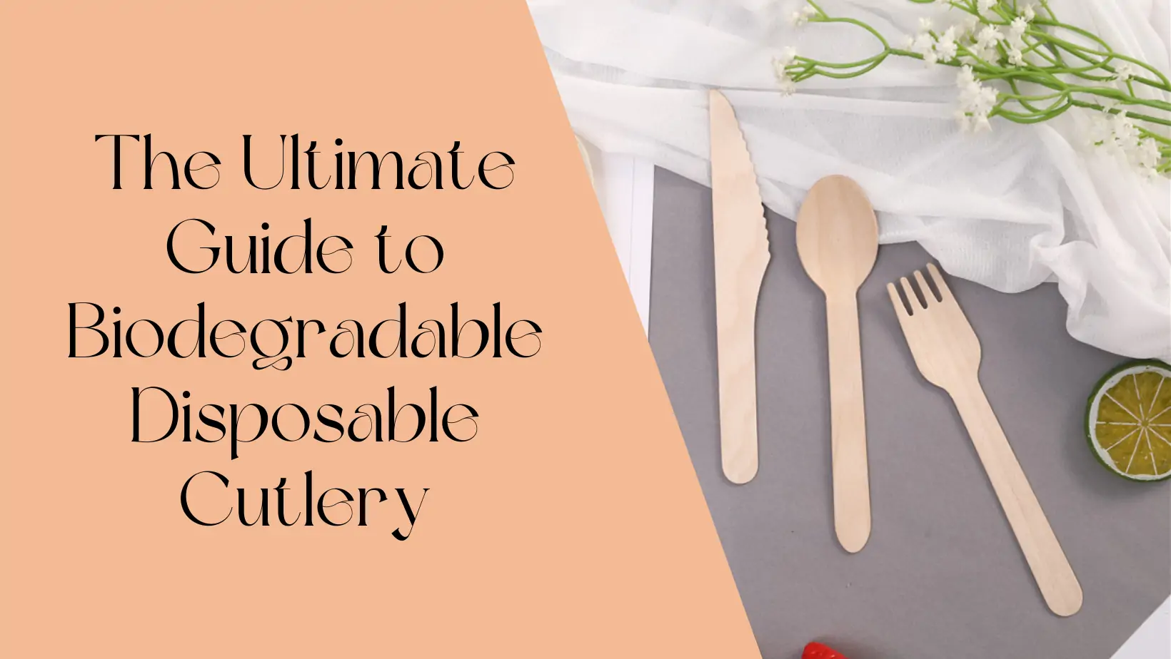 Biodegradable Disposable Cutlery