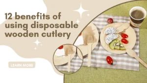 disposable wooden cutlery