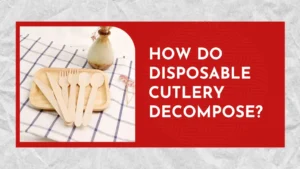 Disposable Cutlery Decompose